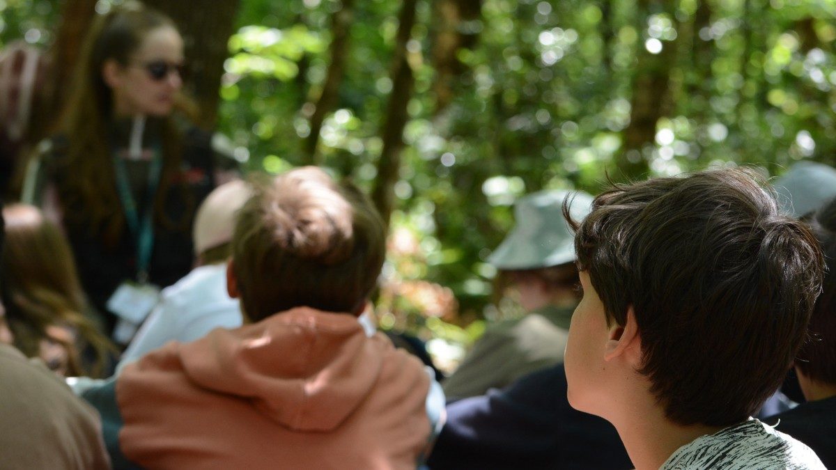 sortie scolaire morbihan