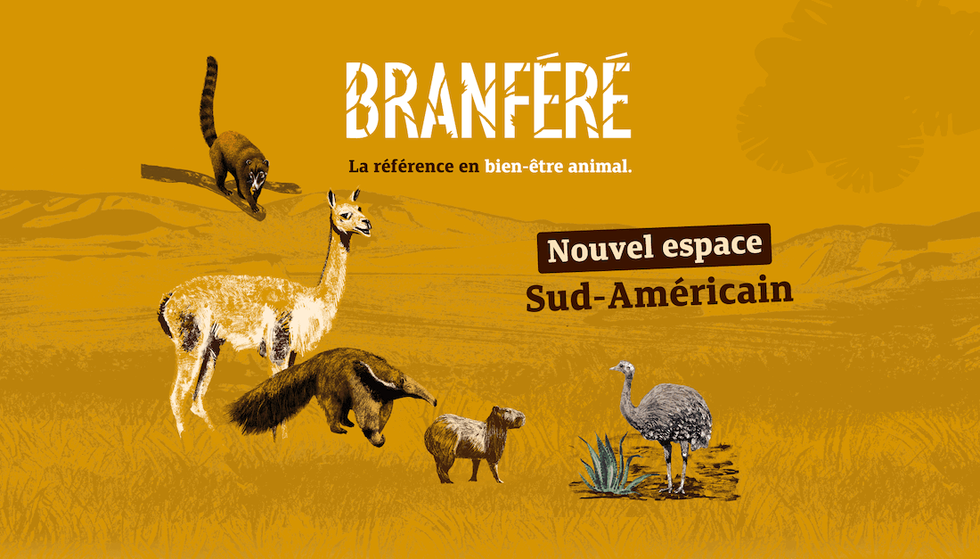 Nouvel espace sud-américain